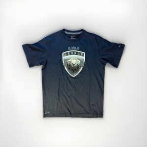 Nike Boys L 14-16 LeBron James Lion Dri-Fit Basketball TShirt Black Short Sleeve